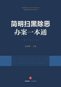 简明扫黑除恶办案一本通