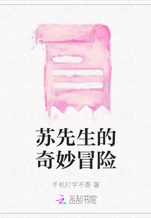 蘇先生的奇妙冒險(xiǎn)