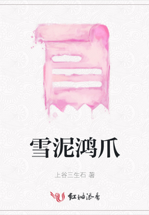 雪泥鴻爪