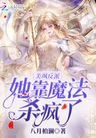 美飒反派她靠魔法杀疯了在线阅读