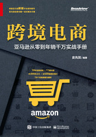 跨境电商：亚马逊从零到年销千万实战手册
