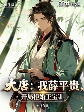 大唐：我薛平贵，开局拒婚王宝钏在线阅读
