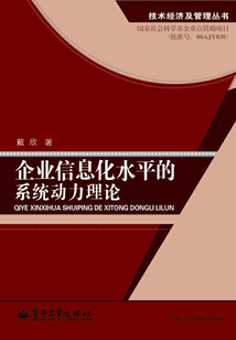 企業信息化水平的系統動力理論