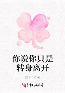 你說你只是轉身離開