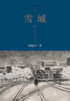 雪城（上）