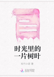 时光里的一片树叶