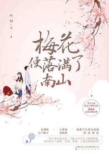 梅花便落满了南山