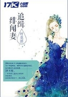 追缉绯闻妻在线阅读