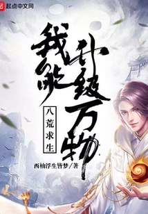 八荒求生：我能升級萬物