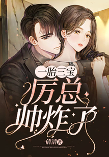 一胎三寶:厲總帥炸了