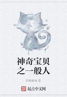 神奇宝贝之一般人