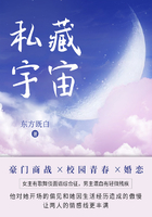 私藏宇宙（第3卷）在线阅读