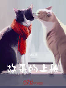 故事的上集