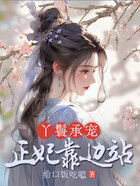 丫鬟承寵：正妃靠邊站在線閱讀