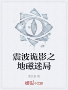 震波诡影之地磁迷局在线阅读