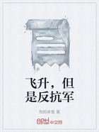 飛升，但是反抗軍在線閱讀