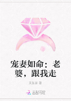 寵妻如命：老婆，跟我走在線閱讀