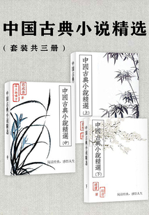 中國古典小說精選(套裝共三冊)
