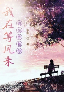 我在等風來也在等著你