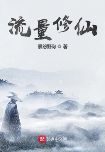 流量修仙