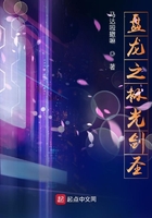 盘龙之极光剑圣在线阅读