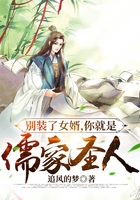 別裝了女婿，你就是儒家圣人在線閱讀