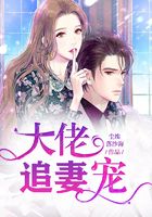 大佬追妻寵在線閱讀