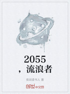 2055，流浪者在线阅读