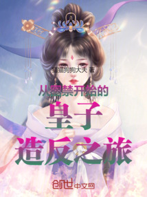 從圈禁開始的皇子造反之旅