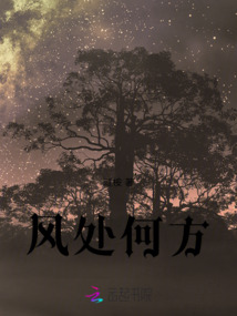 風(fēng)處何方