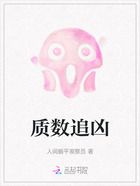质数追凶在线阅读