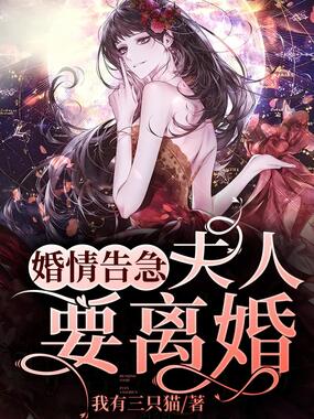 婚情告急，夫人要离婚在线阅读