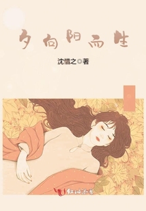 夕向陽而生