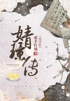 婧璟傳在線閱讀