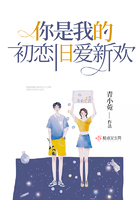 你是我的初恋旧爱新欢