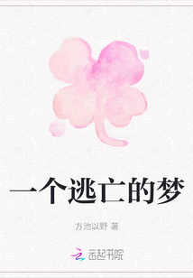一個逃亡的夢