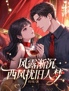 风露渐沉,西风扰旧人梦在线阅读