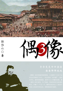 偶像(3)
