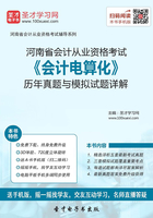 河南省会计从业资格考试《会计电算化》历年真题与模拟试题详解在线阅读