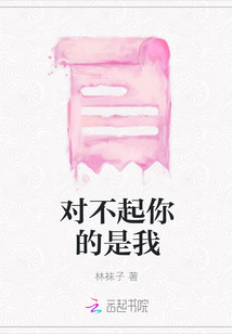 對不起你的是我