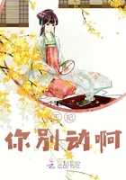 王妃你别动啊