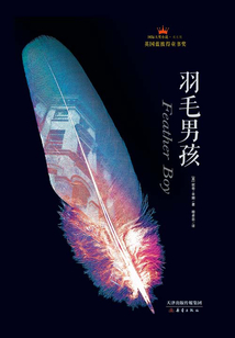 羽毛男孩