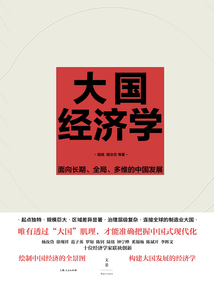 大國經濟學：面向長期、全局、多維的中國發展