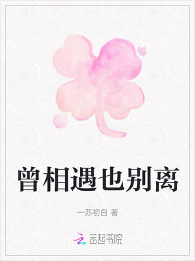 曾相遇也别离在线阅读