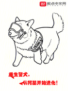 重生警犬，從柯基開始進化！在線閱讀