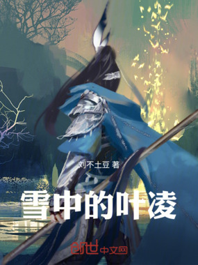 雪中的叶凌在线阅读