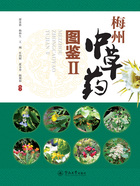 梅州中草药图鉴Ⅱ在线阅读