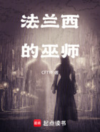 法兰西的巫师在线阅读