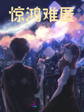 惊鸿难匿在线阅读