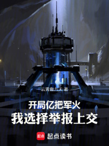 开局亿把军火，我选择举报上交！在线阅读